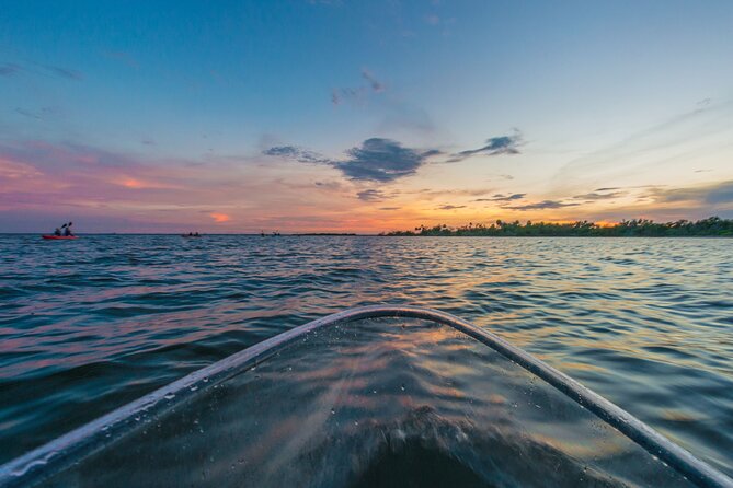 Bioluminescent Clear Kayak Tours in Titusville - What you see beneath the clear kayak