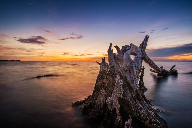 Bioluminescent Clear Kayak Tours in Titusville - How much value do you get for $120?
