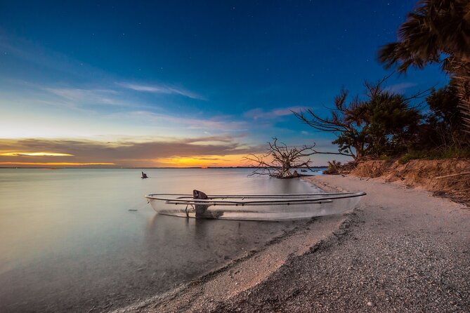 Bioluminescent Clear Kayak Tours in Titusville - Who will enjoy this night paddle