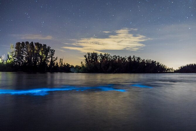 Bioluminescent Clear Kayak Tours in Titusville - The quick lesson before you paddle