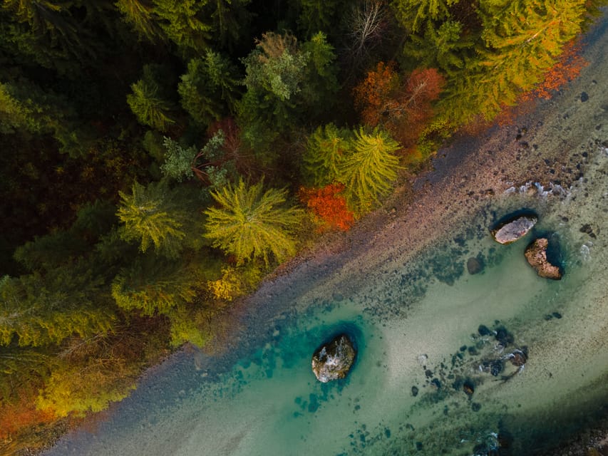 Bled: Sava River Kayaking Tour - Who should book this Sava River trip