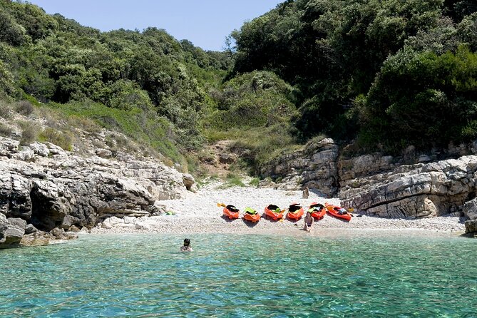 BOAT & KAYAK! Sea Adventure - Snorkeling & Cliff Jumps - Cliff jumping from four to nine meters