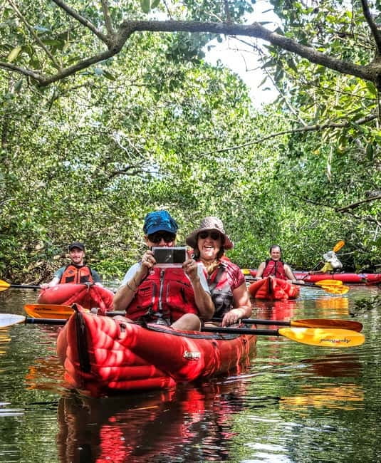 Bohol: SUSTAINABLE Mangrove Tunnels & Firefly Kayaking trail - Why the Abatan River makes a fine evening outing