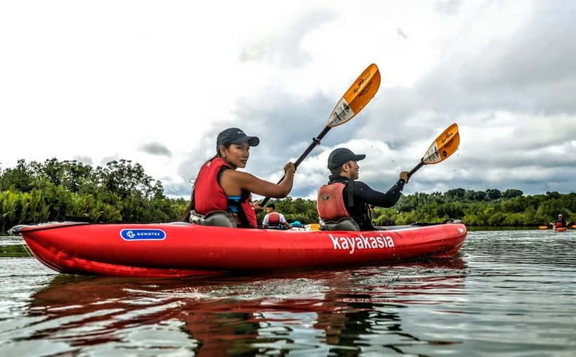 Bohol: SUSTAINABLE Mangrove Tunnels & Firefly Kayaking trail - The pickup and ride from Bohol’s main areas