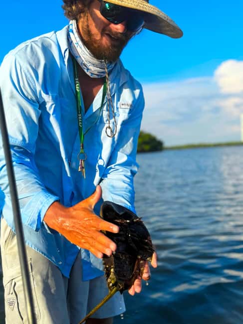 Bonita Springs: Kayak Tour with Manatees, Dolphins Sightings - Mangrove tunnels and quiet coastal water