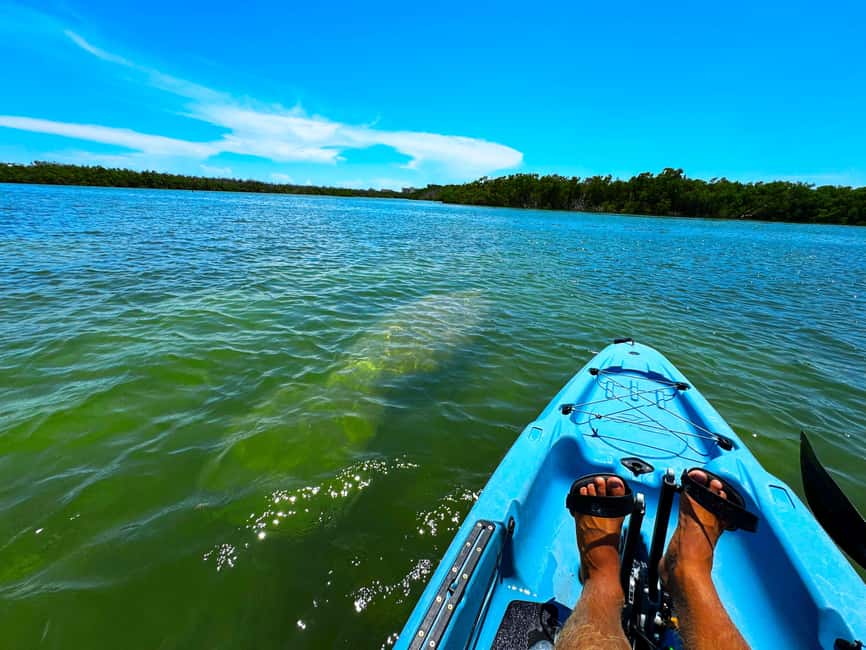 Bonita Springs: Kayak Tour with Manatees, Dolphins Sightings - Starting at Big Hickory Pass Bridge