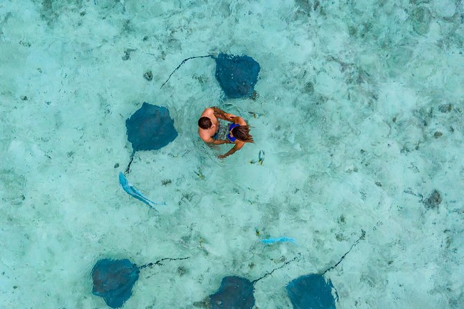 Bora Bora Snorkel Cruise by Polynesian Outrigger Canoe with BBQ Island Lunch - Bora Bora’s lagoon is the real stage