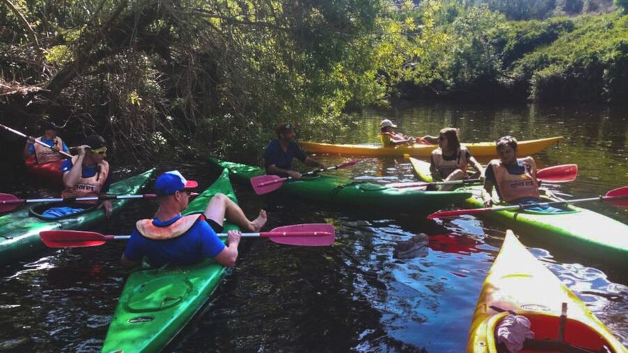 Bosa: Temo River Kayak Rental - Route one: the old bridge at 1.5 kilometers