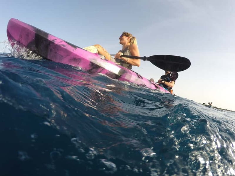 Brindisi: Kayaking at Sant'Andrea Island - Searching for turtles and dolphins