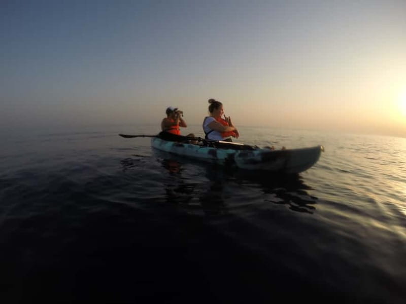 Brindisi: Kayaking at Sant'Andrea Island - What the price includes, and what it does not
