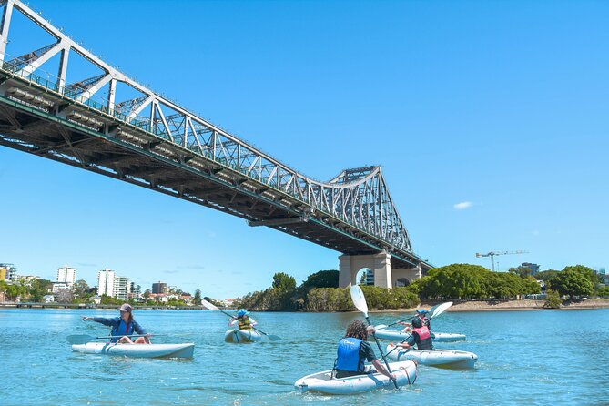 Brisbane Kayak, Bike - Choosing between a bike, rollerblades, and scooter