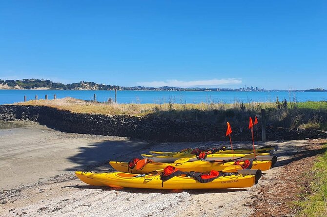 Browns Island Motukorea Sea Kayak Tour - Setting out from St Heliers Bay at 10am