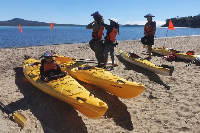 Browns Island Motukorea Sea Kayak Tour - Should you book the $93.09 experience?
