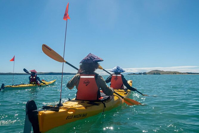 Browns Island Motukorea Sea Kayak Tour - One hour across the Hauraki Gulf