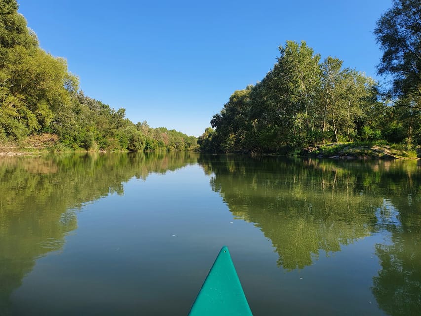 Budapest: Canoeing the Danube w or wo Sauna or Danube Beach - Going around islands and letting the river carry you