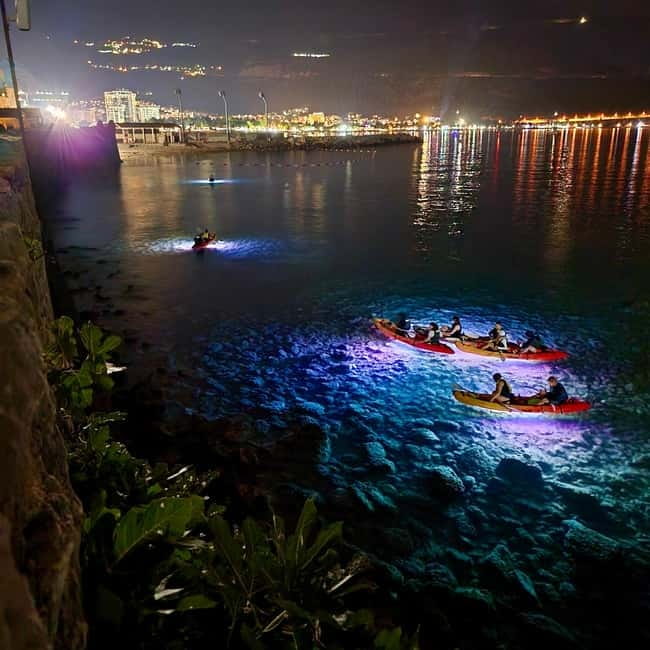 Budva: Night Lights Kayaking Tour - Meeting at Watersport Center Yamaha