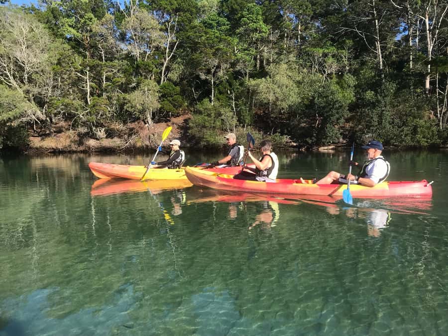 Byron Bay: Brunswick River Scenic Kayak Tour - Wildlife watching from a kayak