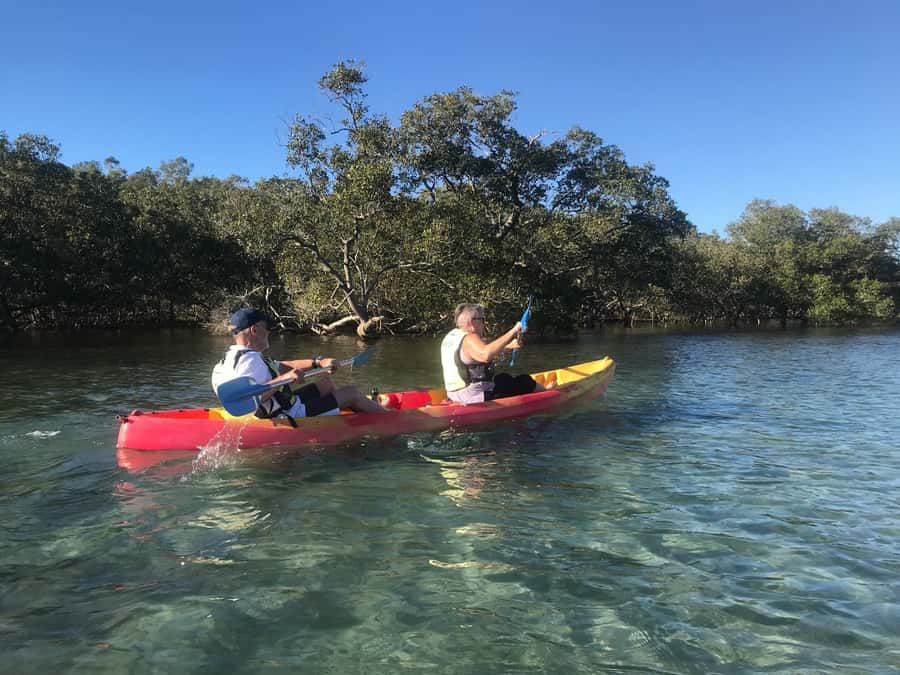 Byron Bay: Brunswick River Scenic Kayak Tour - Mangroves, culture, and the Northern Rivers