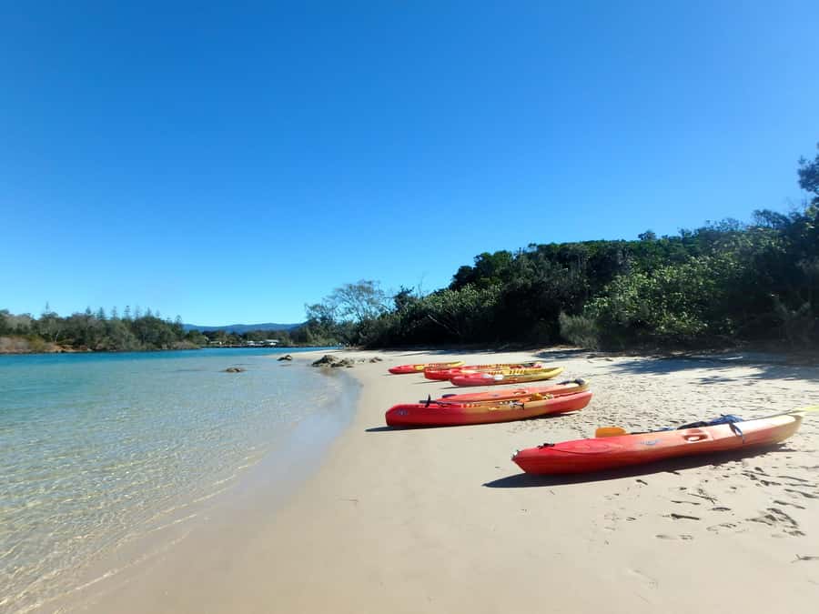 Byron Bay: Brunswick River Scenic Kayak Tour - The secluded beach stop and riverside pause