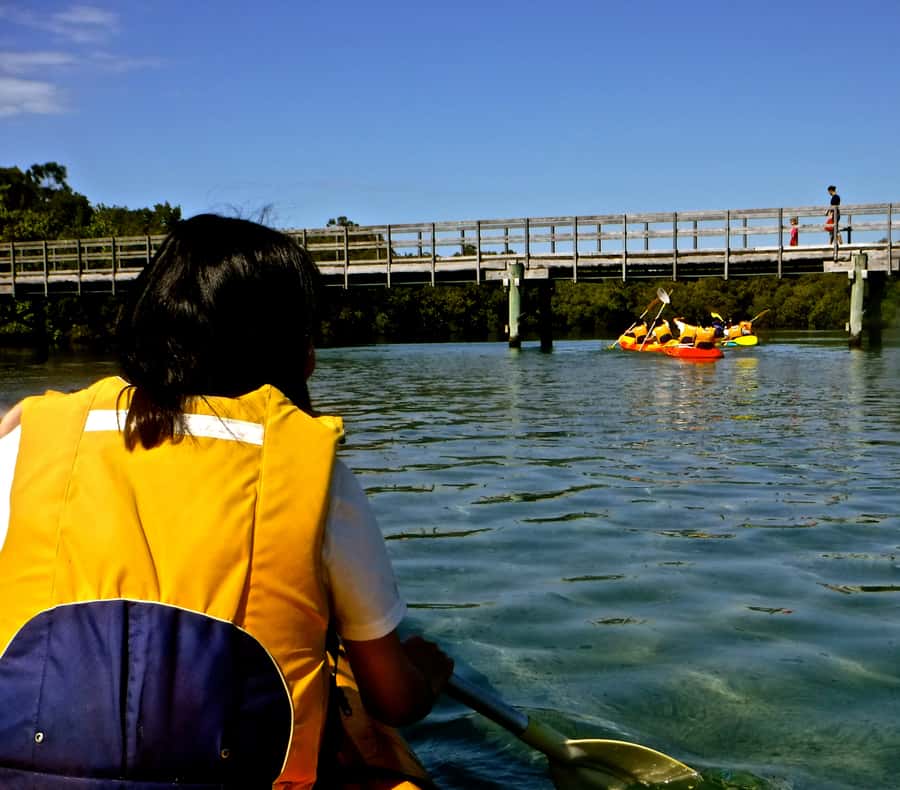 Byron Bay: Brunswick River Scenic Kayak Tour - Guides who shape the mood