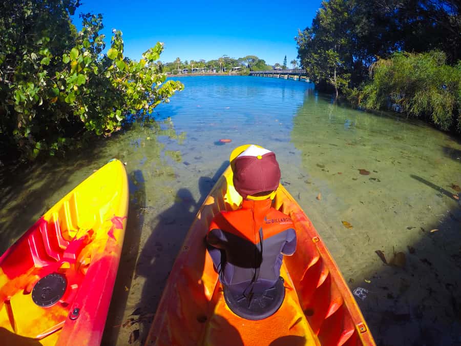 Byron Bay: Brunswick River Scenic Kayak Tour - Is $42 good value?