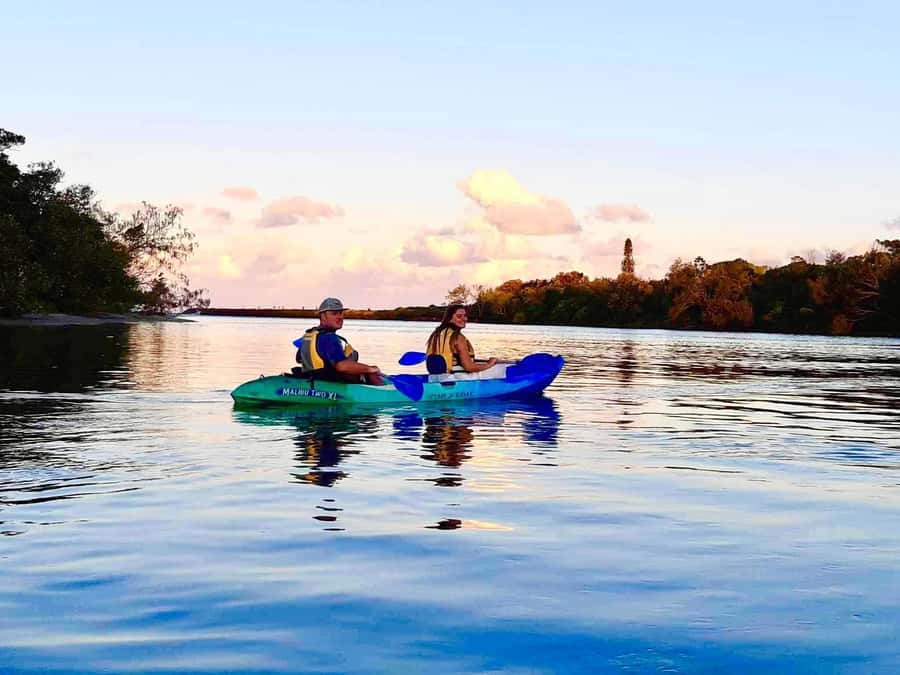Byron Bay: Brunswick River Sunset Kayak Tour - Looking beneath the kayak for stingrays