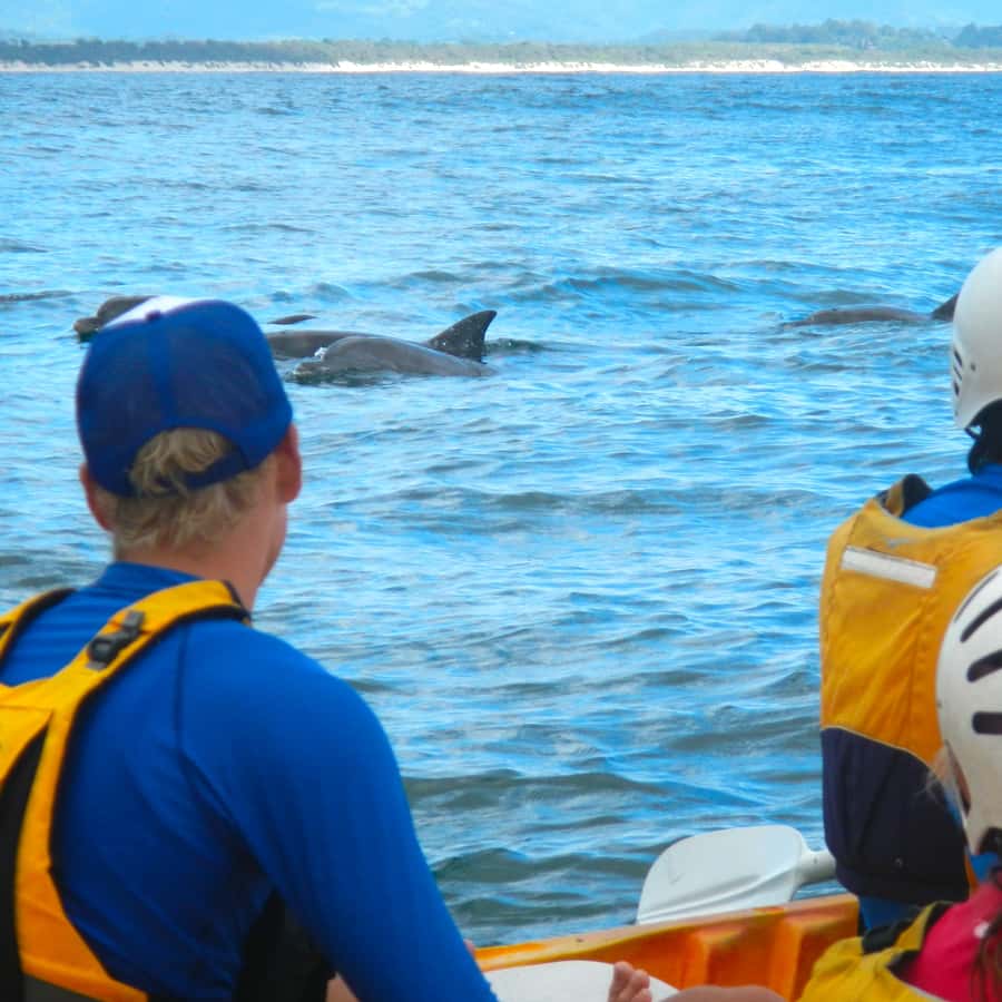 Byron Bay: The Byron Bay Sea Kayak Tour - Cape Byron and the lighthouse from sea level