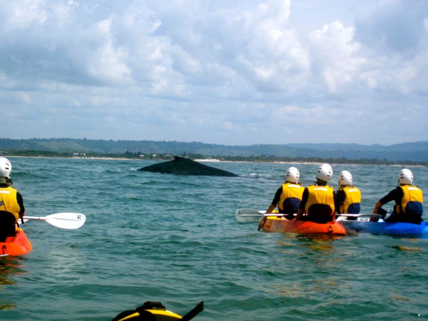 Byron Bay: The Byron Bay Sea Kayak Tour - Learning to catch a wave back to shore