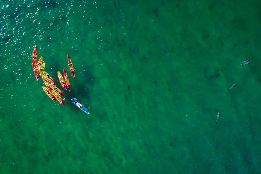 Byron Bay: The Byron Bay Sea Kayak Tour - What the $63 price gives you