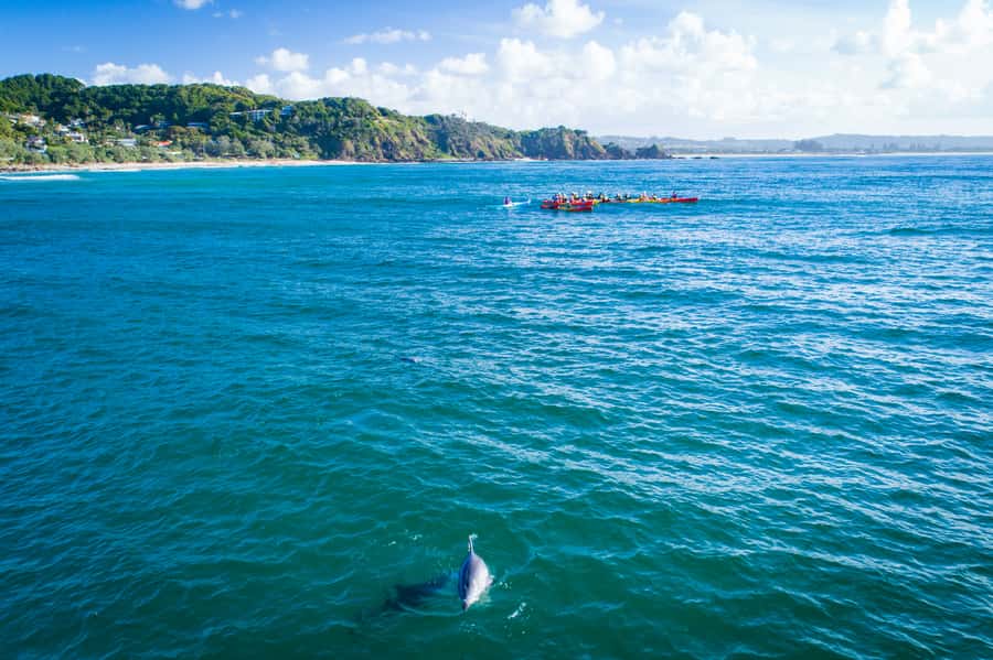 Byron Bay: The Byron Bay Sea Kayak Tour - Timing, clothing, and the time-zone trap