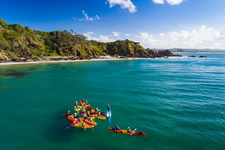 Byron Bay: The Byron Bay Sea Kayak Tour - Dolphins, turtles, whales, and the luck of the ocean