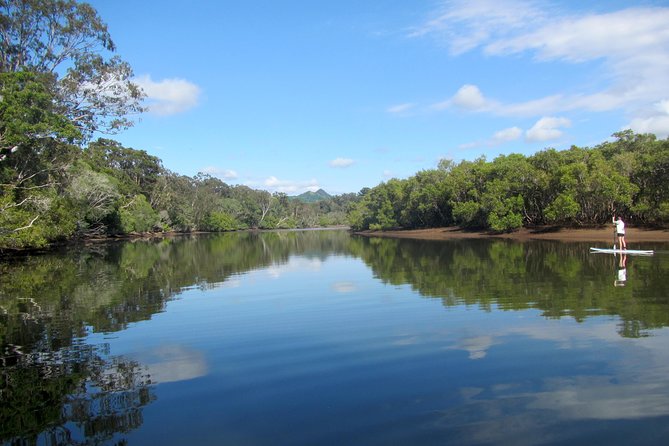 Byron Stand Up Paddle Nature Tour - Why this Brunswick River paddle feels different from a beach tour