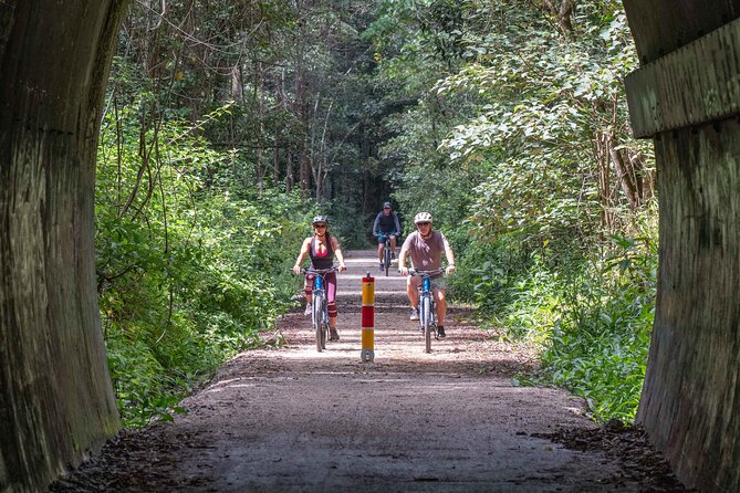 Byron Stand Up Paddle Nature Tour - The water stop and the tree-lined section