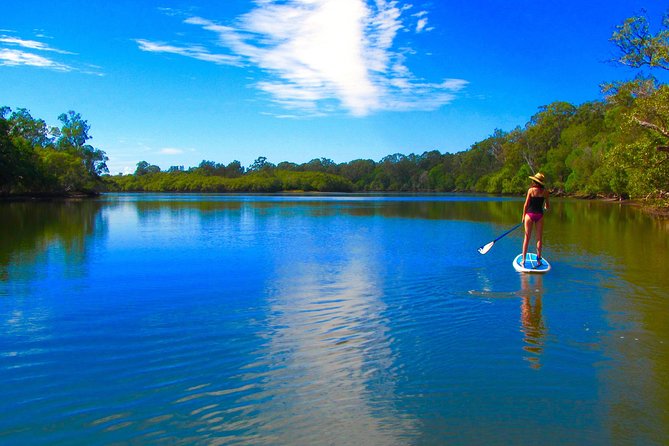 Byron Stand Up Paddle Nature Tour - Returning to land with photos and homemade snacks