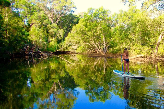 Byron Stand Up Paddle Nature Tour - Who should book this river tour?