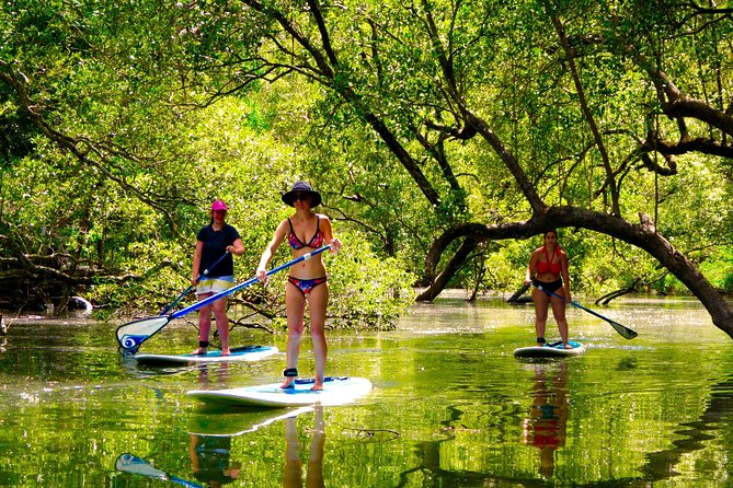 Byron Stand Up Paddle Nature Tour - Starting near Brunswick Heads, not central Byron Bay