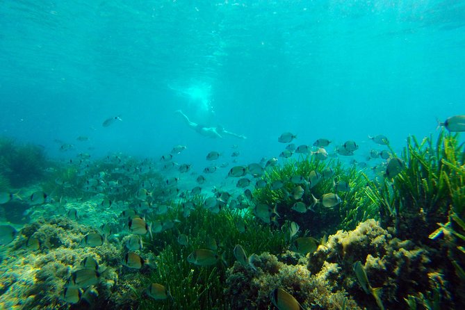 Cabo de Gata Active. Guided kayak and snorkel route through coves of the Natural Park - Families, beginners and the right kind of day out