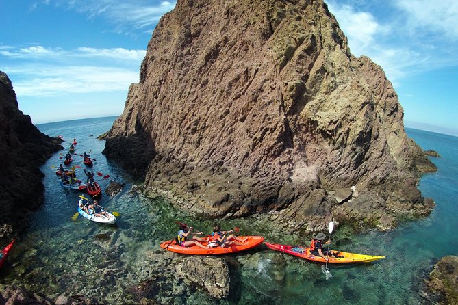 Cabo de Gata Active. Guided kayak and snorkel route through coves of the Natural Park - The snorkel stop and what you might see below