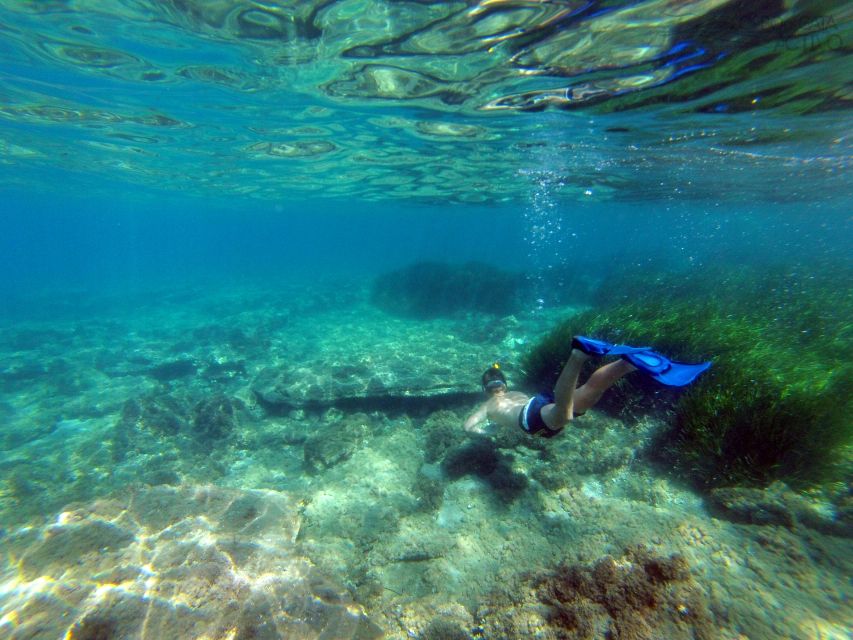 Cabo de Gata: Natural Park Kayaking and Snorkel Excursion - At a glance