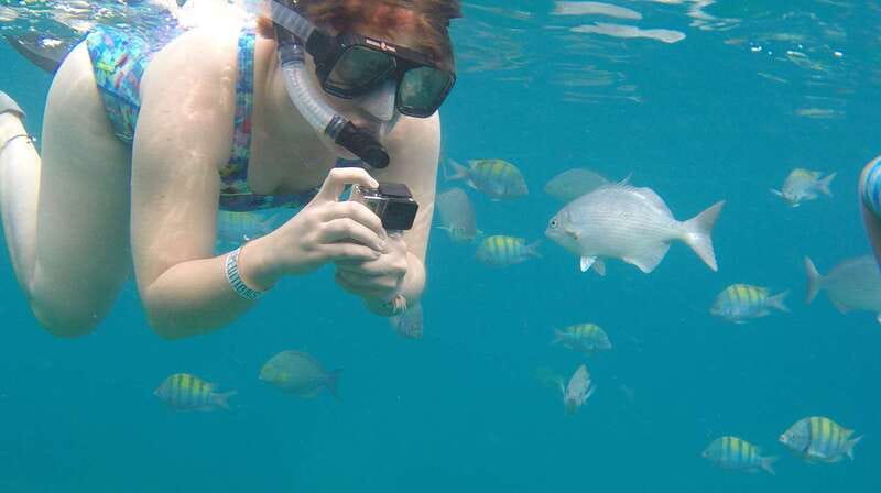 Cabo san Lucas: Paddle Boarding or Kayak and Snorkeling - Should you book the Cabo Nature paddle and snorkel tour?