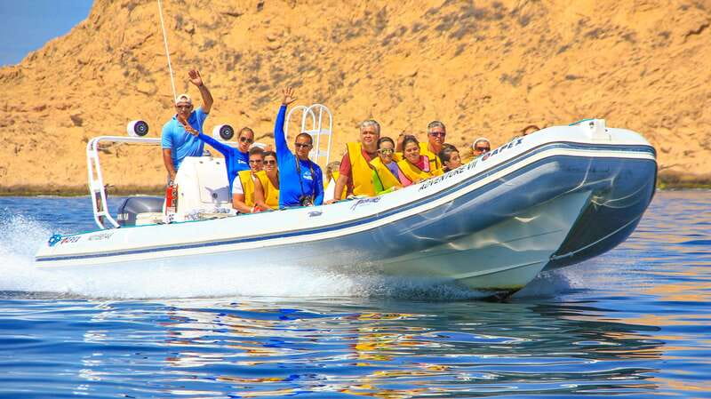 Cabo San Lucas: Snorkel, Paddle-board, and/or Kayak Tour - Key points to know before booking