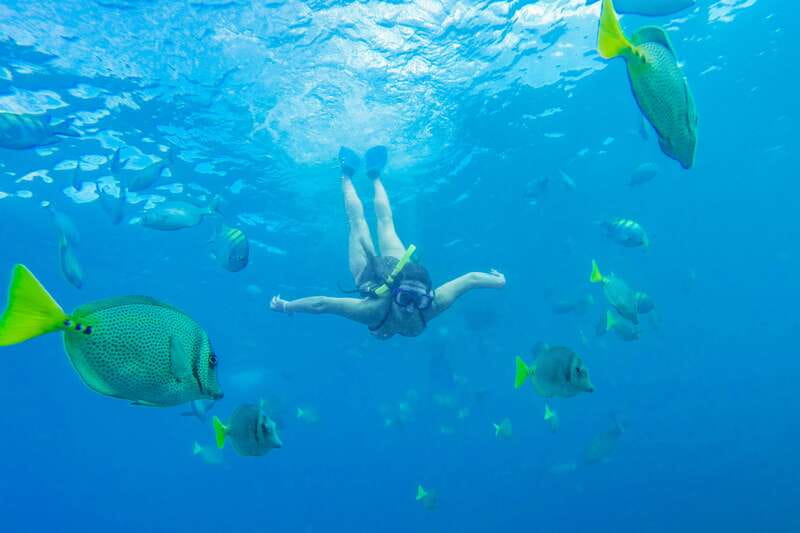 Cabo San Lucas: Snorkel, Paddle-board, and/or Kayak Tour - What this Cabo water tour is really like