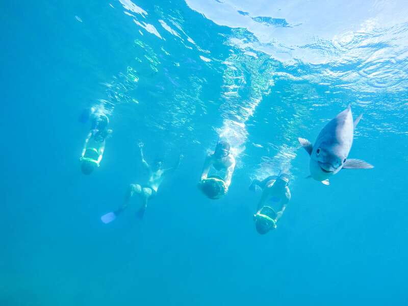 Cabo San Lucas: Snorkel, Paddle-board, and/or Kayak Tour - Two snorkeling areas and a choice of four activities
