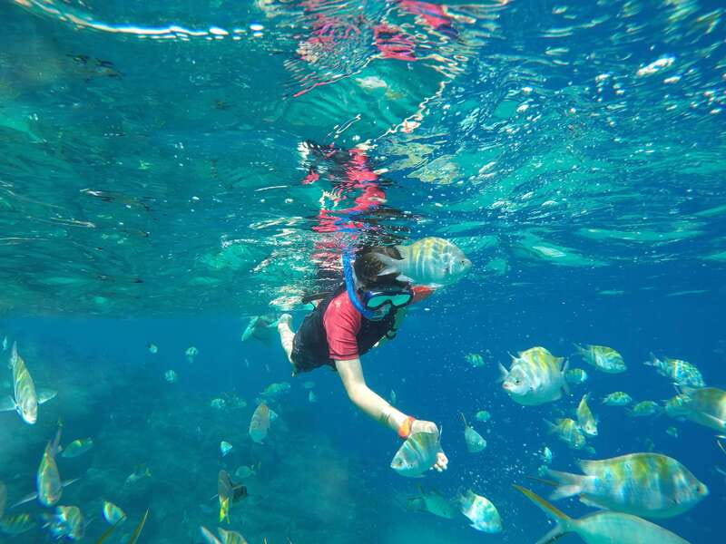 Cabo San Lucas: Snorkel, Paddle-board, and/or Kayak Tour - The sea lions and the Cabo Arch