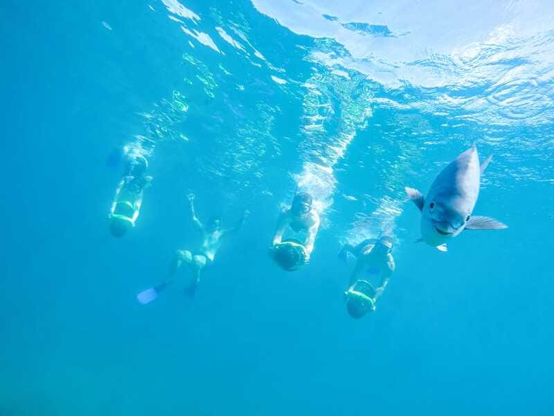 Cabo San Lucas: Snorkel, Paddle-board, and/or Kayak Tour - Practical tips for a smoother morning or afternoon