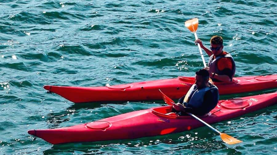 Cairo: Private Nile Kayaking Adventure with hotel transfers. - Is $52 good value for a three-hour activity?