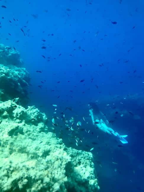 Cala Codolar: Sea & Caves Kayaking Tour with Snorkeling - Getting to Cala Codolar and planning the day