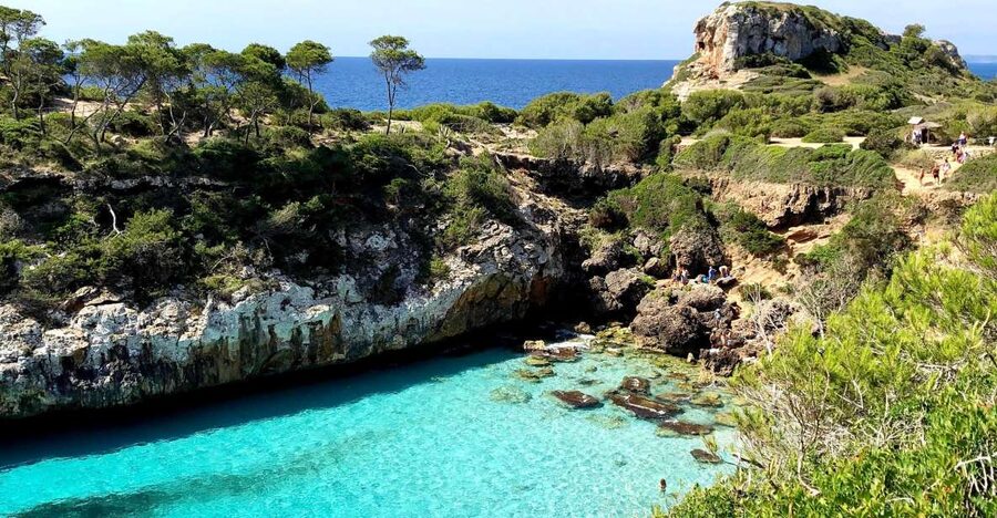 Cala des Moro/S'Almunia: Snorkel and SUP Tour - Key points to know before you book