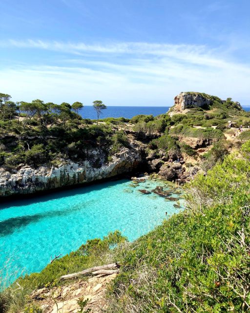 Cala des Moro/S'Almunia: Snorkel and SUP Tour - What the van service is really worth