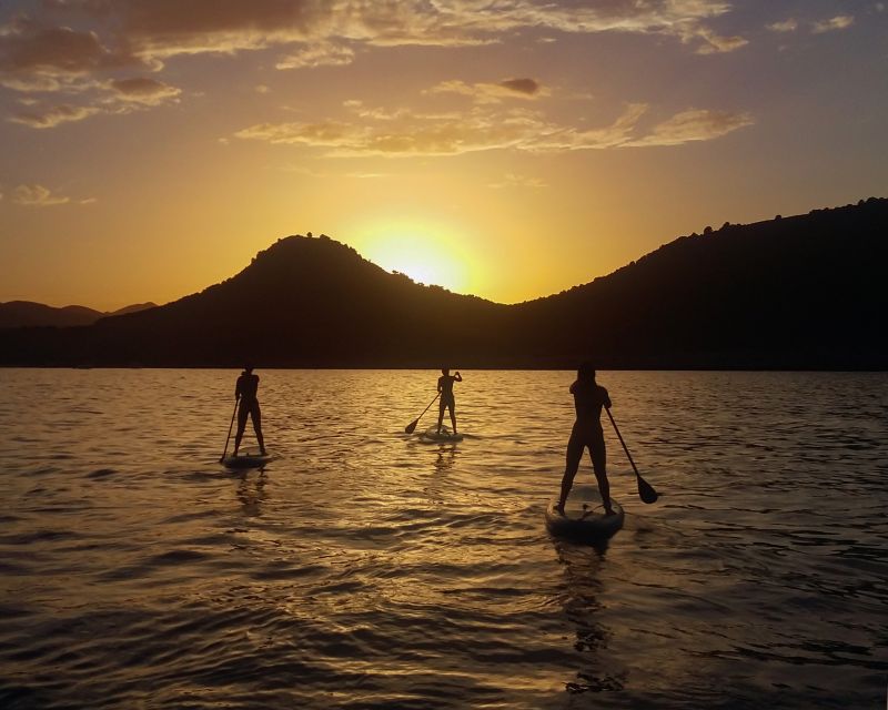 Cala Rajada: Stand Up Paddle Sunset Tour - Paddling along the reeds and calm coast